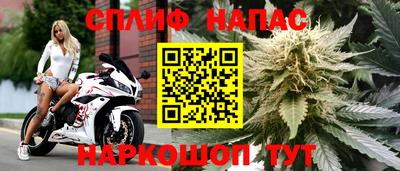 spice Балахна