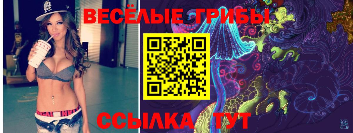 Анжеро-Судженск  Галлюциногенные грибы Cubensis  Вход с VPN  Псилоцибиновые грибы Psilocybine cubensis 