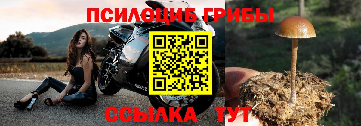 Галлюциногенные грибы Magic Shrooms Анжеро-Судженск
